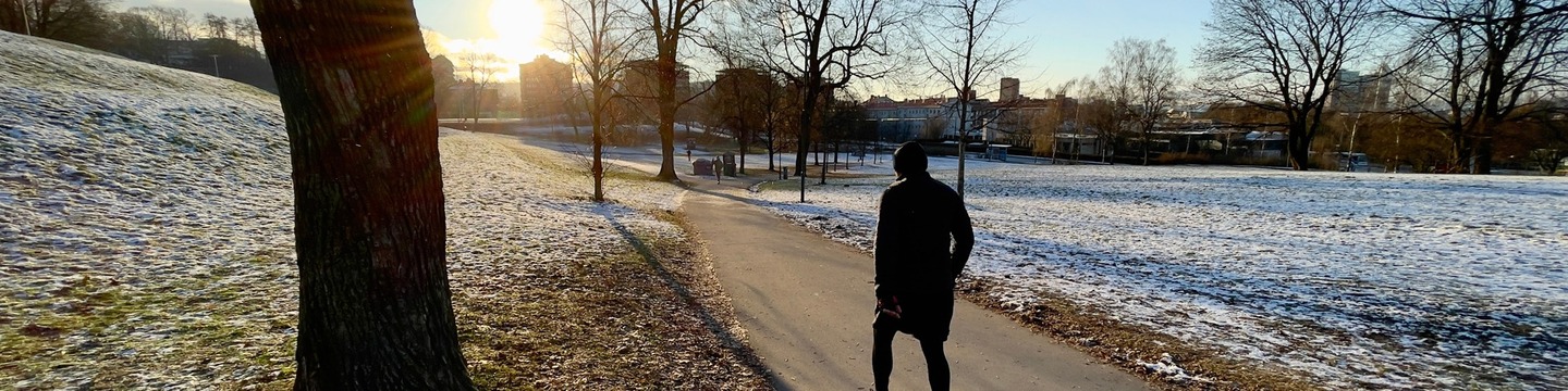 Tøyenparken. Foto: Niklas Lynau / Oslo kommune
