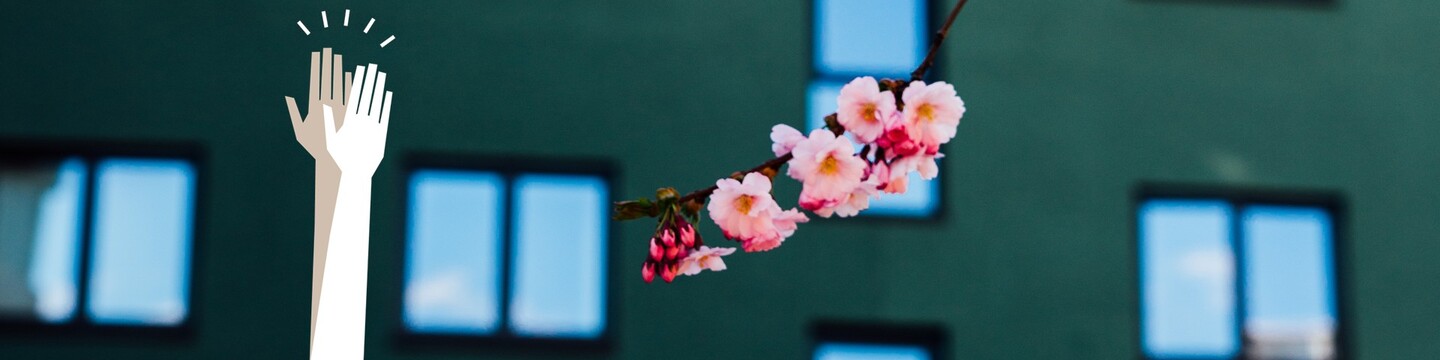 Nærbilde av kirkebærblomster med illustrasjon av klappende hender
